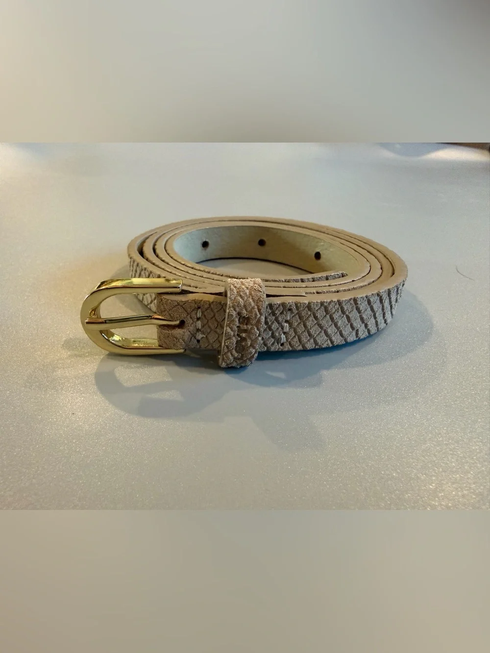 Levi’s Leather Python Embossed Belt With Polished Gold Buckle Size 80/32 (30-34”